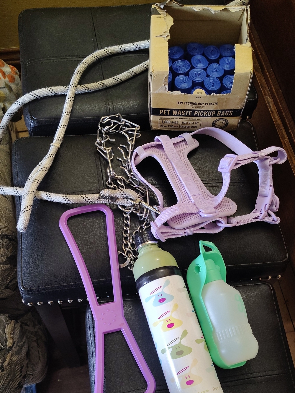 Medium Sized Dog Training Starter Bundle